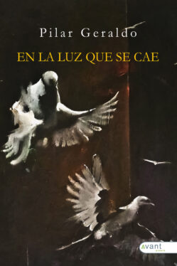 En la luz que se cae - edición en papel