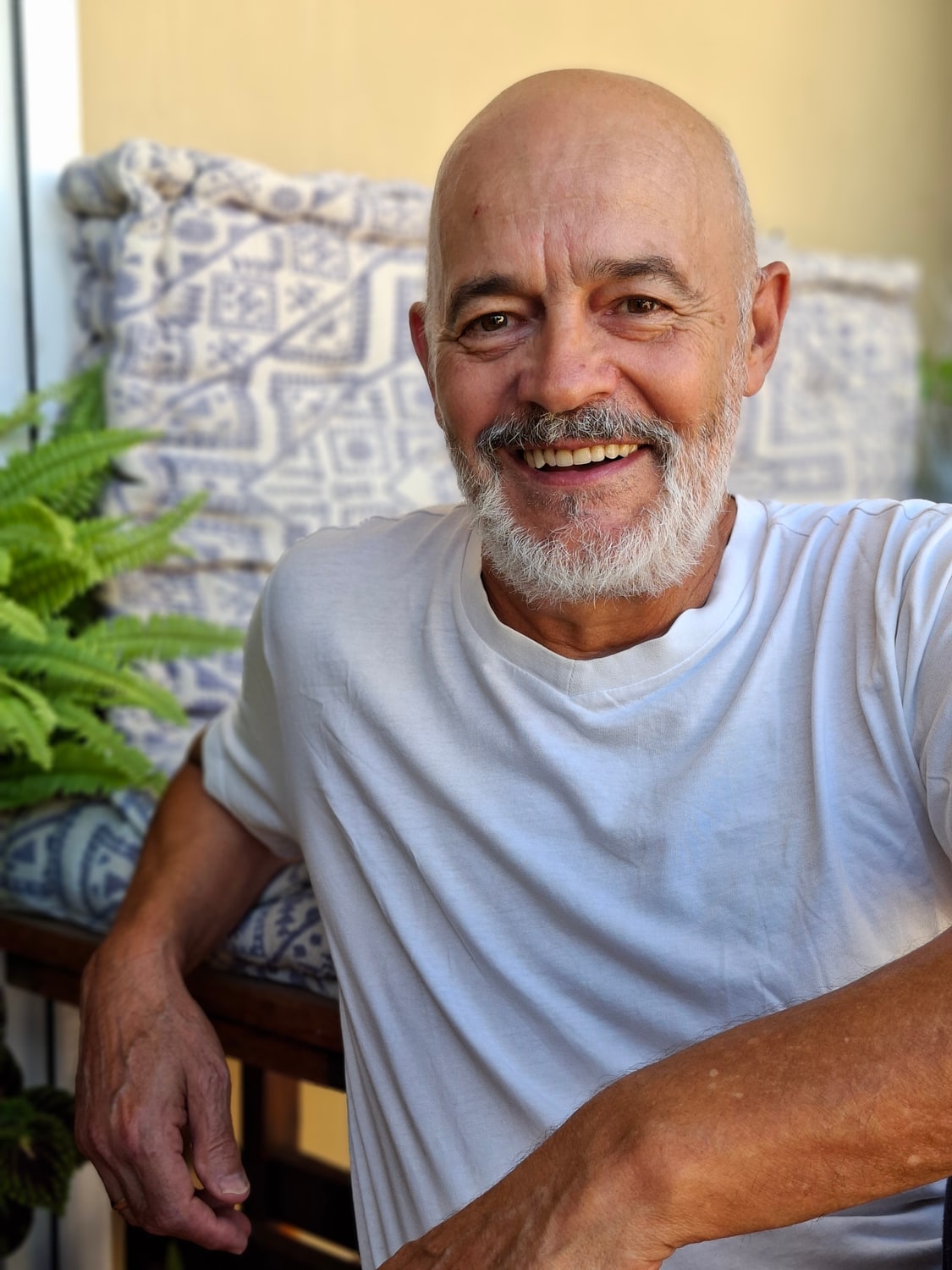 Wilfredo Estévez pintor