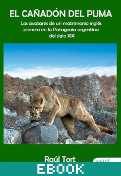 El cañadón del puma