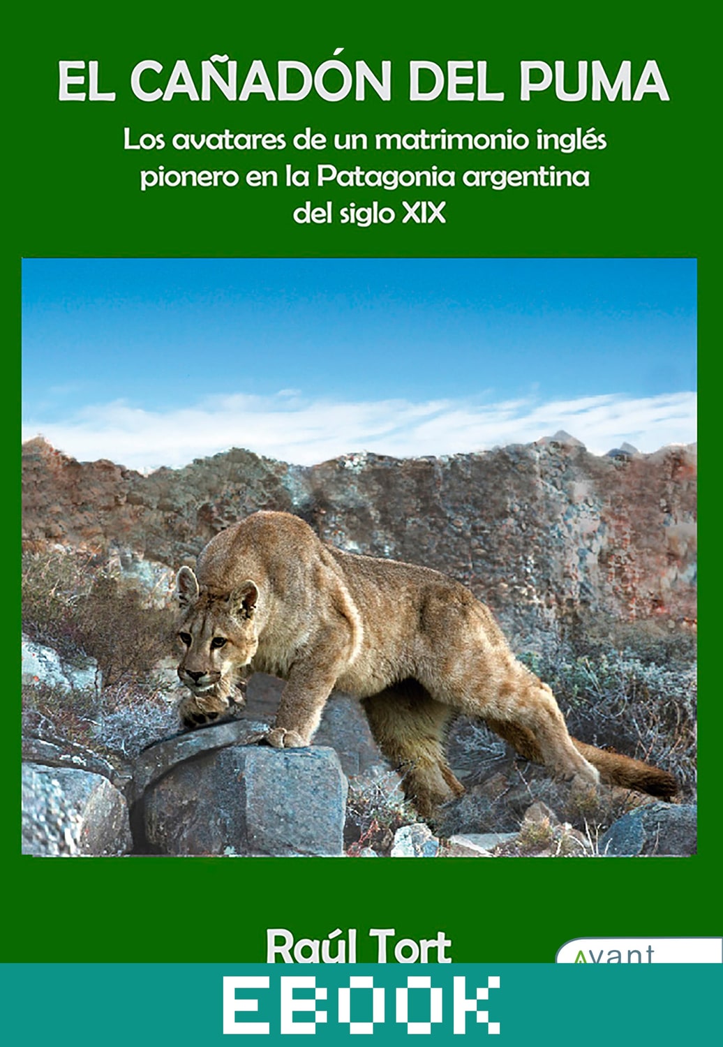 El cañadón del puma