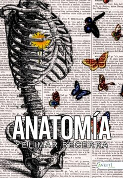 Anatomía