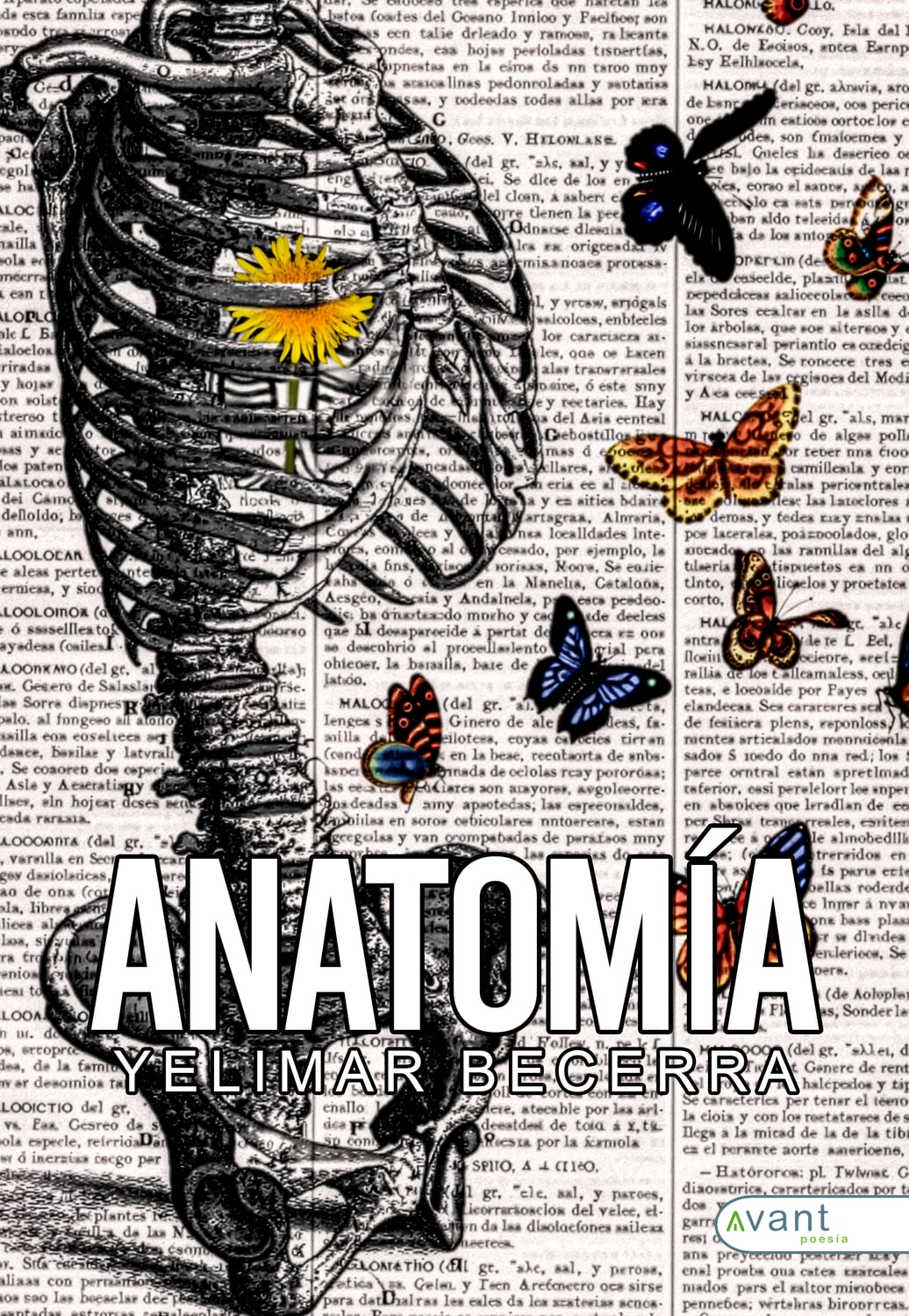 Anatomía