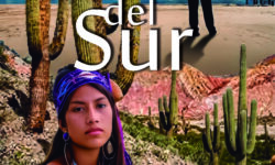 Nortes del sur: una novela sobre ambición, amor y redención